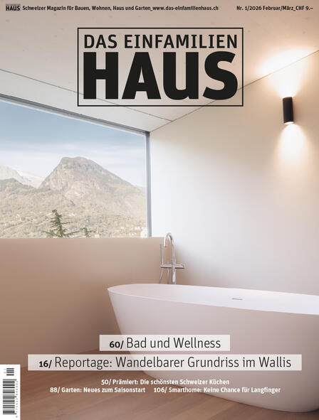 Das Einfamilienhaus 01/2025