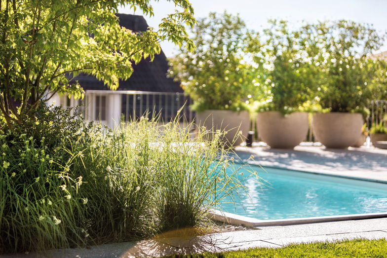 Swimmingpool im Familiengarten vom Gartengestalter Parc’s aus Rapperswil-Jona.