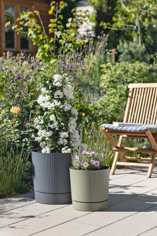 Die Wasserablauflöcher im Boden der Outdoor-Pflanzgefässe verhindern Staunässe gleichzeitig verhindert das verbleibende Wasser im Untersetzer ein Austrocknen. «Lino+» von Scheurich ist in vier starken Mattfarben und verschiedenen Grössen erhältlich.  www.scheurich.de